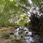 Tasting the Colombia Coffee Region