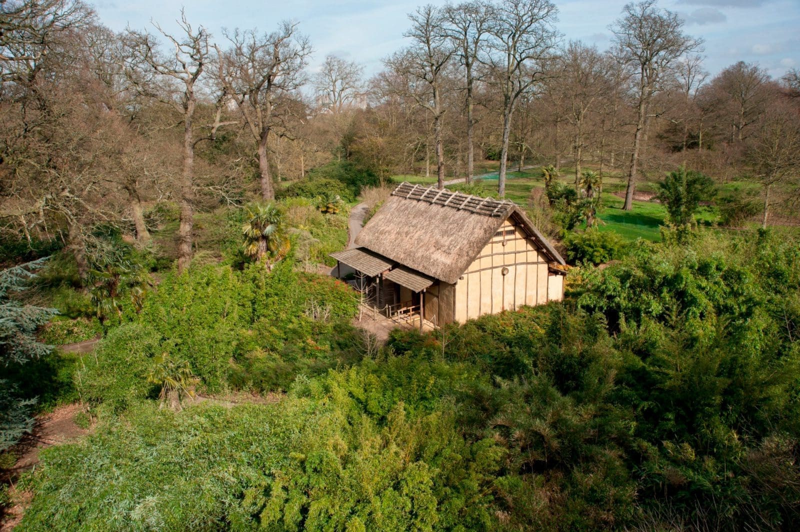 Bamboo Garden at Kew Zoe Stewart © RBG Kew 2019