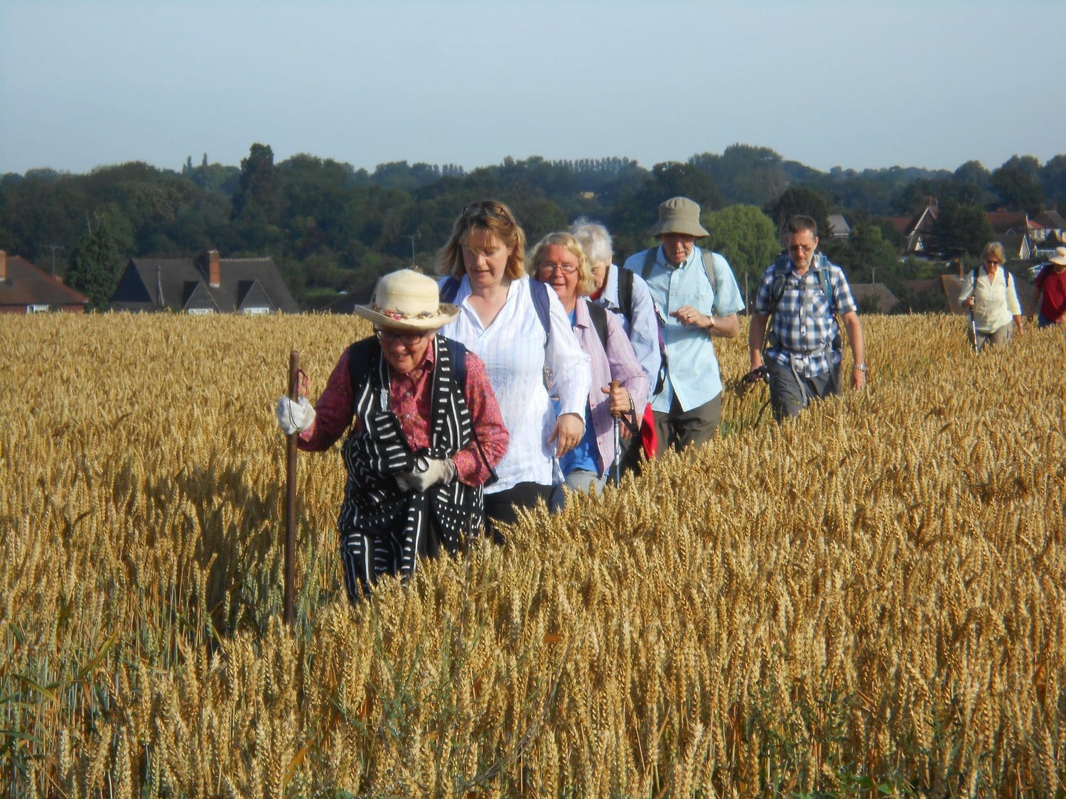 Similar pilgrimage to that for Abbey 1000 - 3 credit Nick Ellis