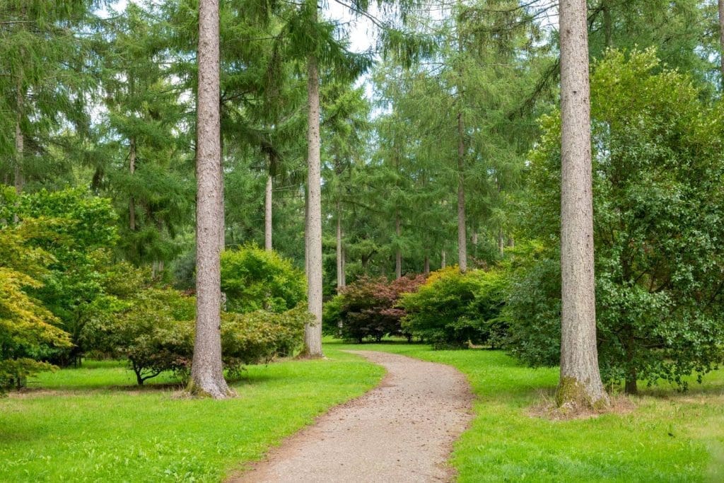 Westonbirt arboretum