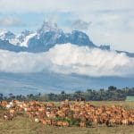 All for Conservation: Borana Lodge, Kenya