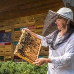 Celebrate World Bee Day in Slovenia