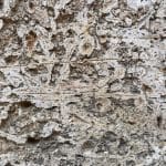 Wrting on the wall
