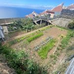 Organic garden at