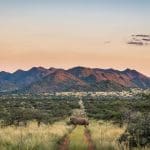 Tswalu Introduces Rhino Conservation Experience