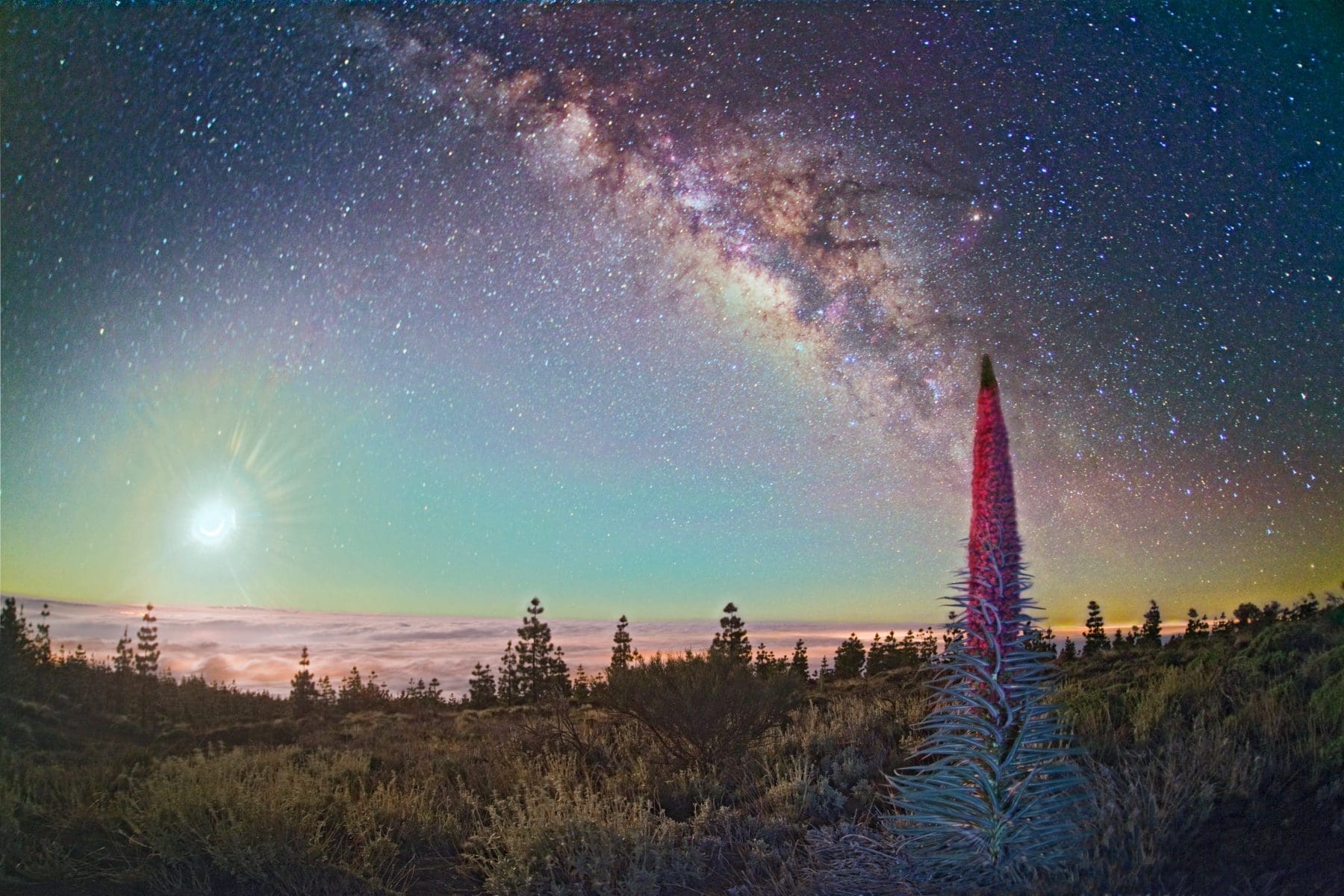 Stargazing near Teide Observatory Tenerife