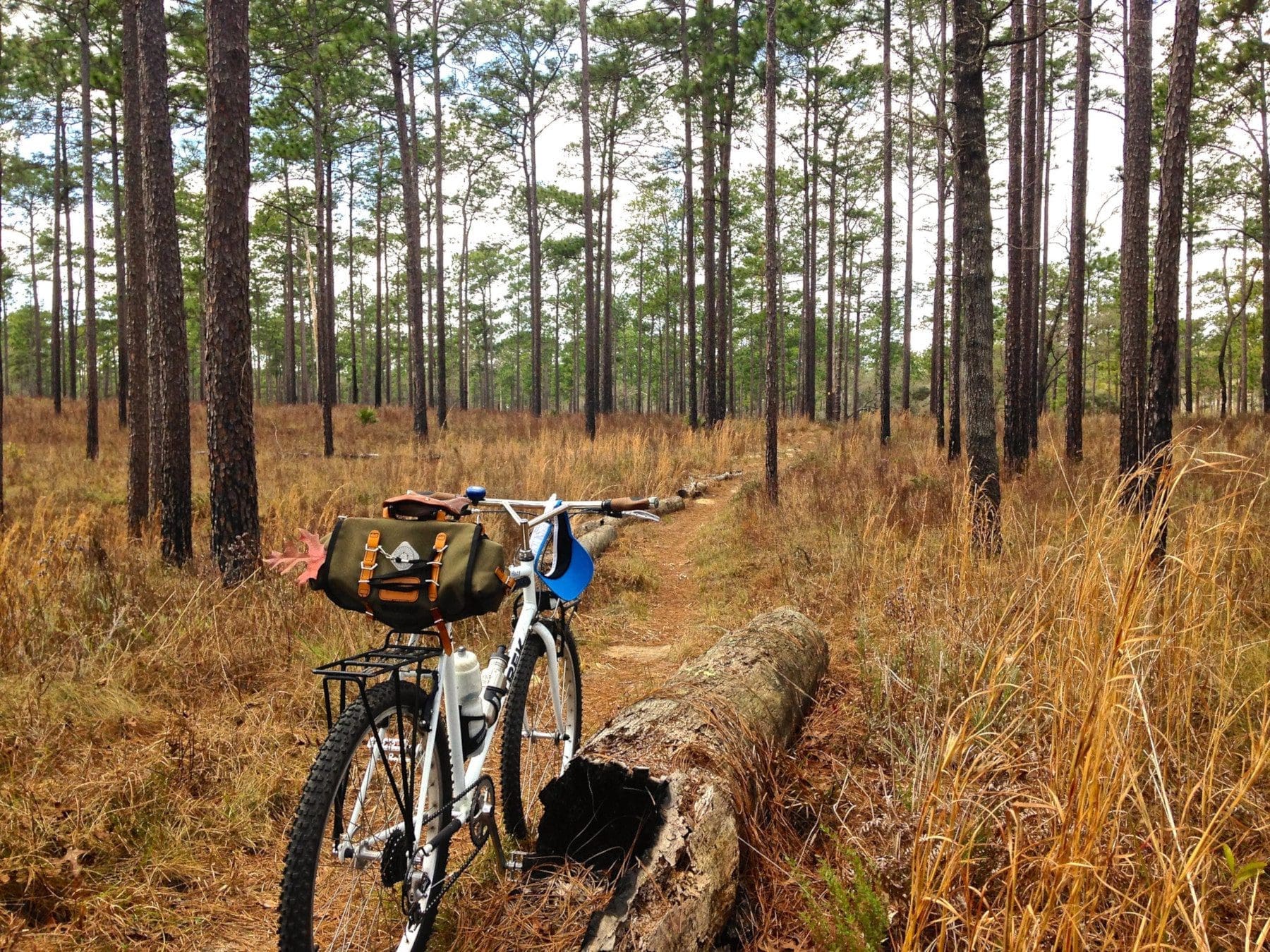 Cycling Florida