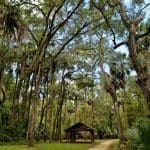Visiting Ocala National Forest? 8 Things You Can't Leave Without Doing