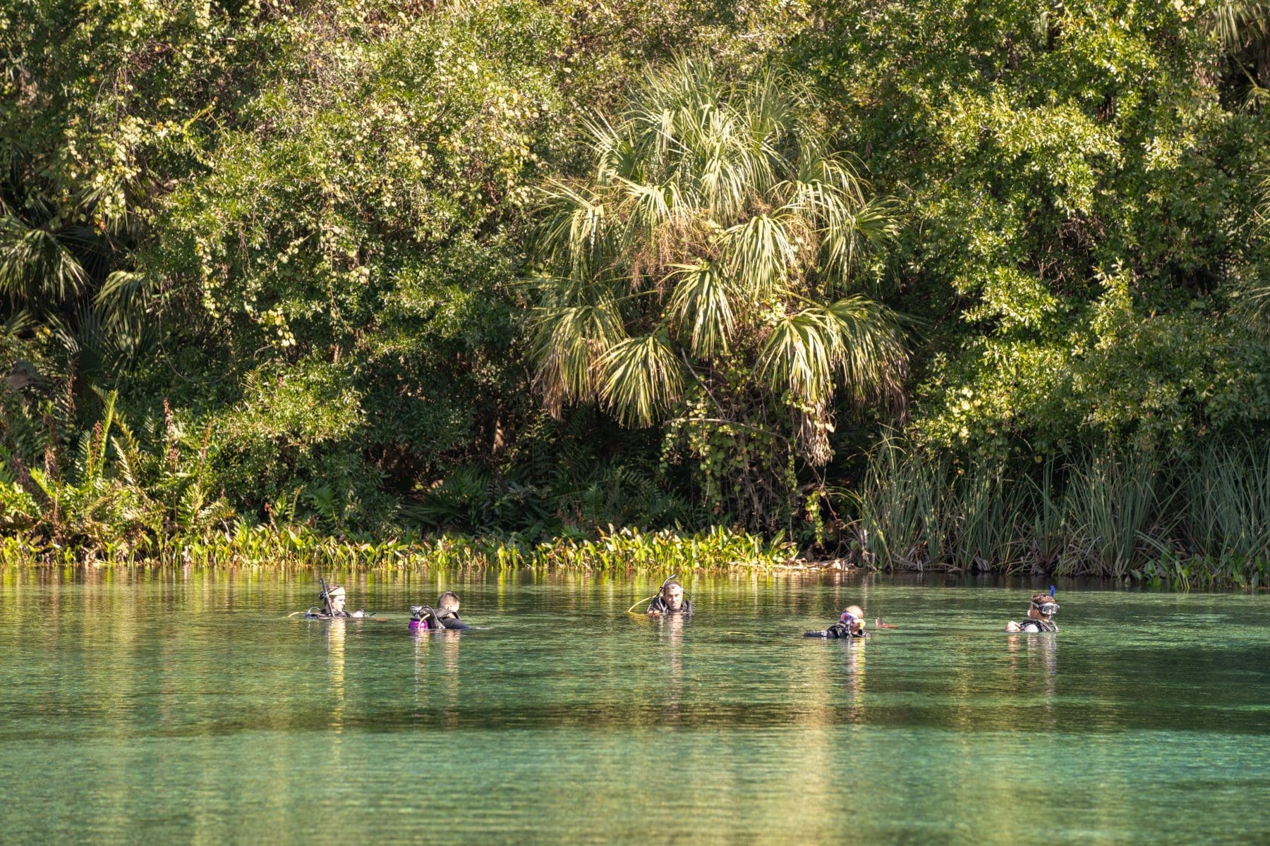 Group of divers at Alexander Springs Ocala National Forest Florida USA