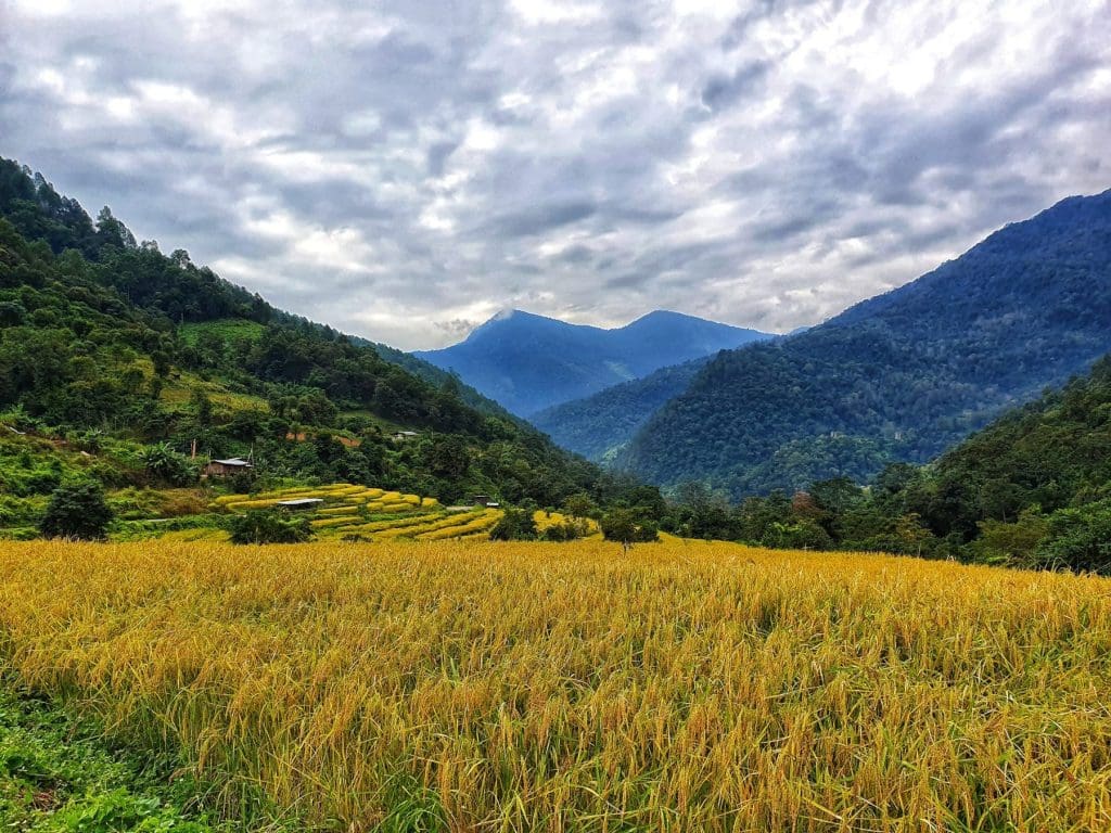 Trans Bhutan Trail