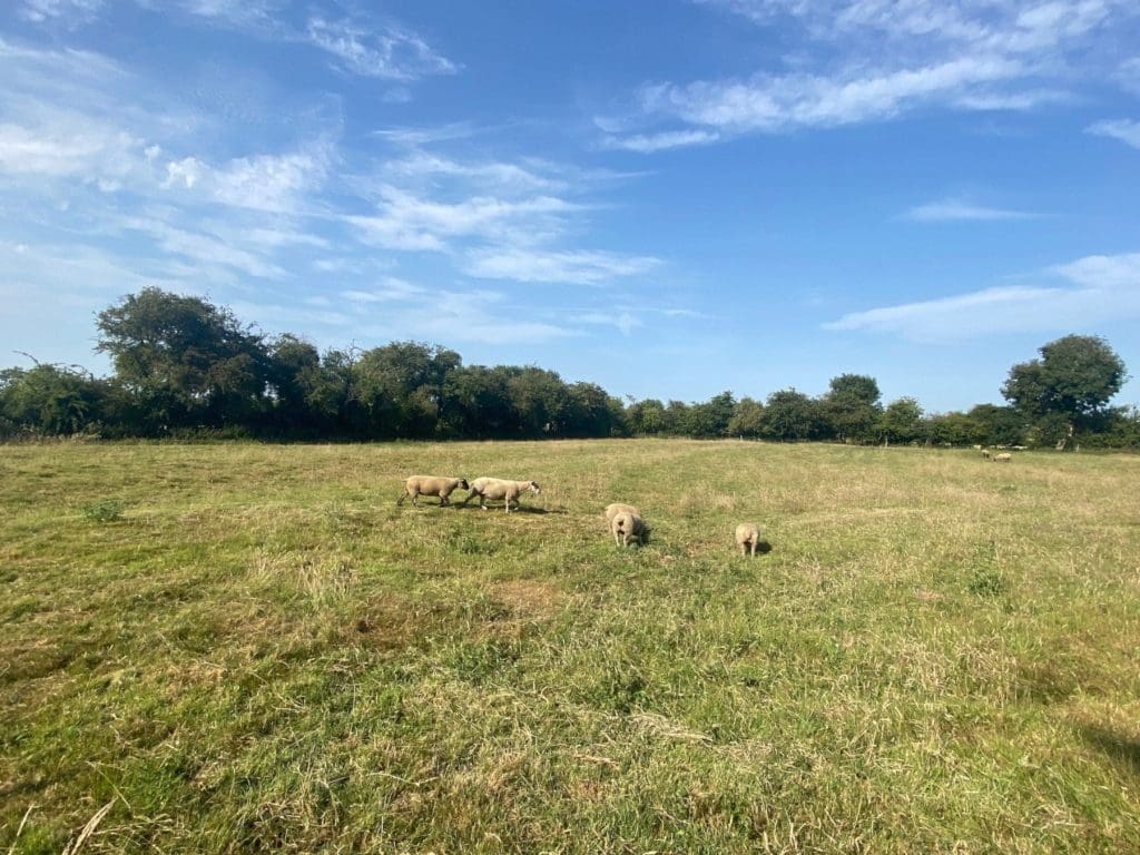 Church Farm Legbourne