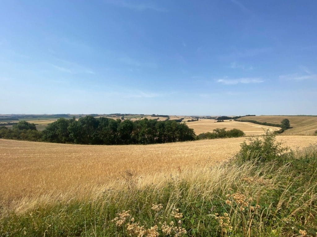 Walking in the Lincolnshire Wolds