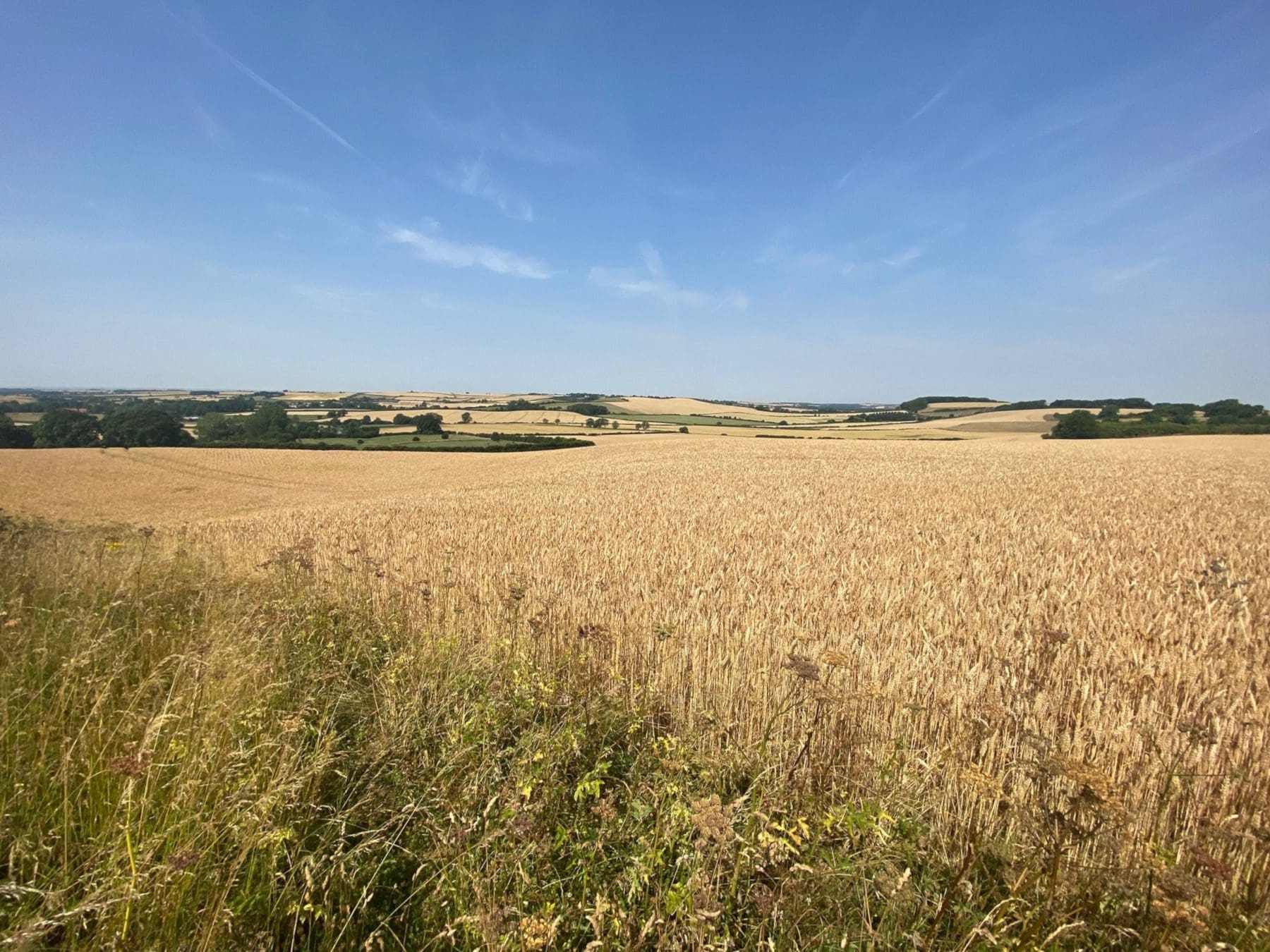 walking in the Lincolnshire Wolds