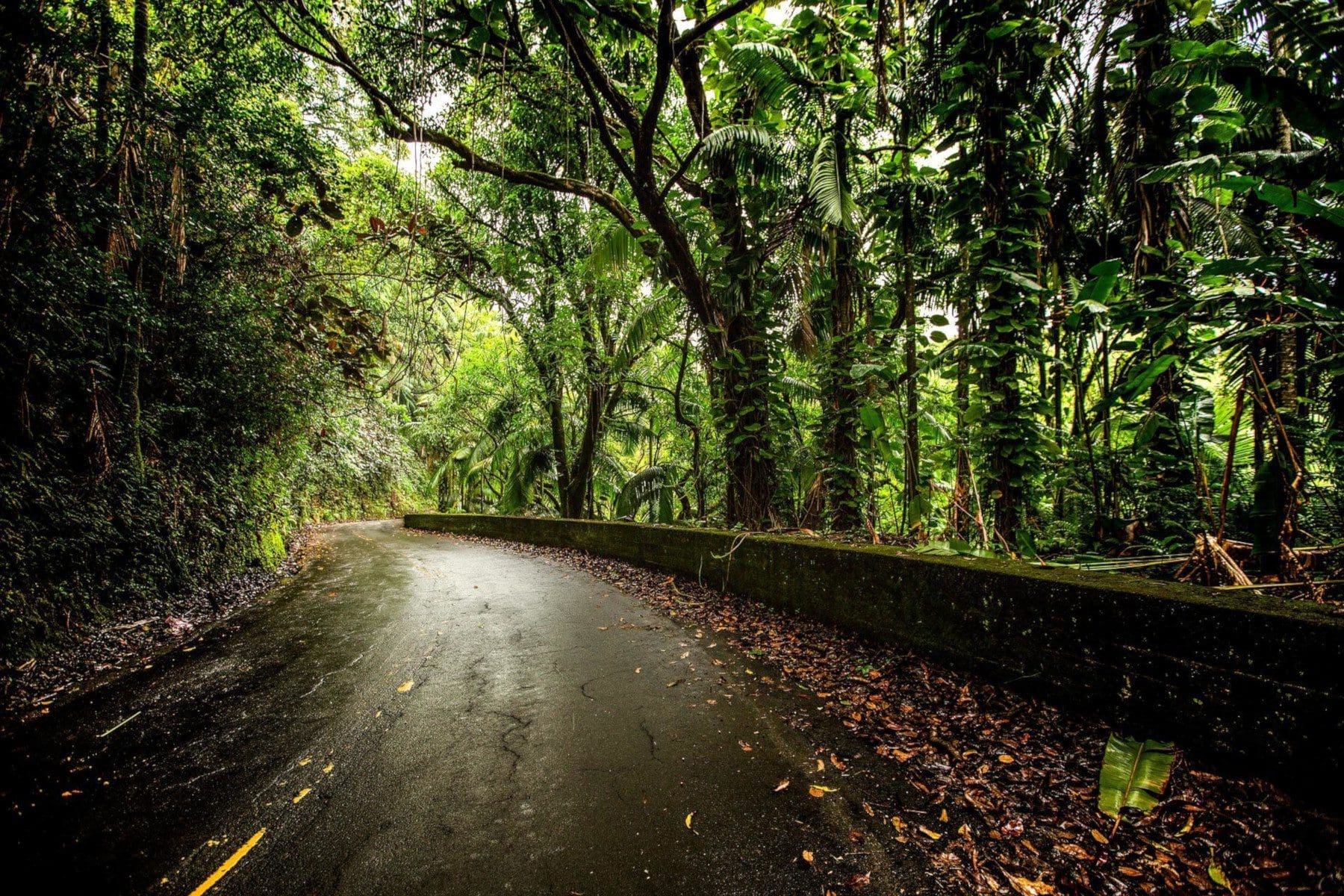 scenic driving tours of Hawaii