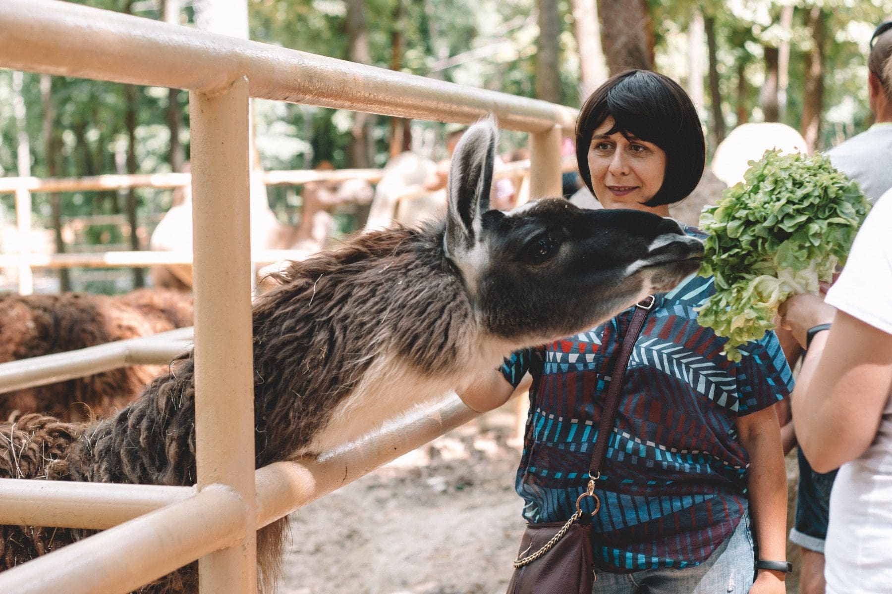 Toronto Zoo