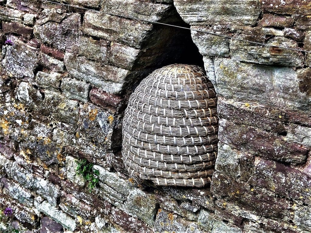 A skep in the Goodly Garden, Thornbury Castle