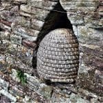 A skep in the Goodly Garden, Thornbury Castle