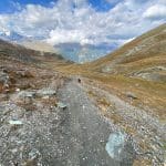 The long road to the PALP Festival