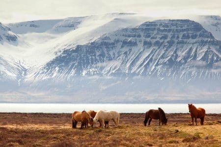Starting a Slow Adventure Movement