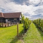 Back to the Future at Toppesfield Vineyard