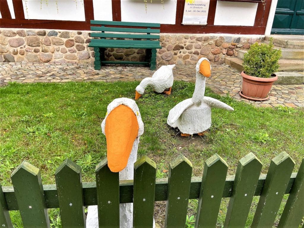 Ducks outside the Old Museum Wittemberge