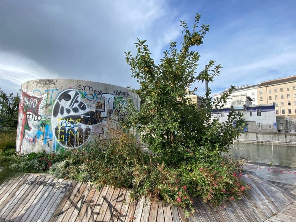 Grafitti along the Danube canal Vienna