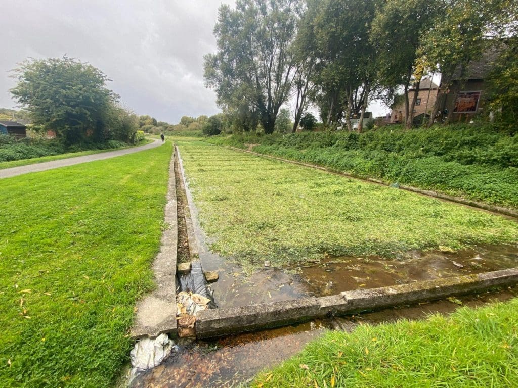 Watercress Meadows along St James' Way, Pilgrims' Way