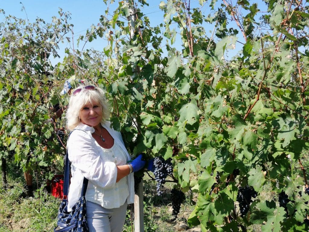 Marion Picks Grapes at I Dofi Mati Vineyard