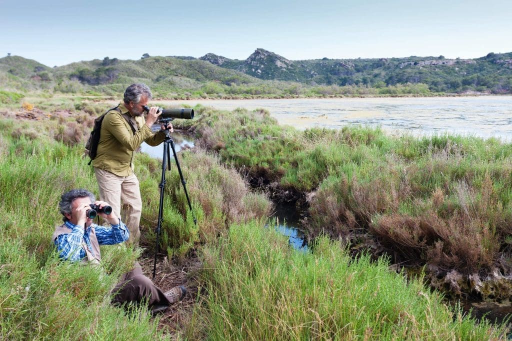 Birdwatching in Menorca