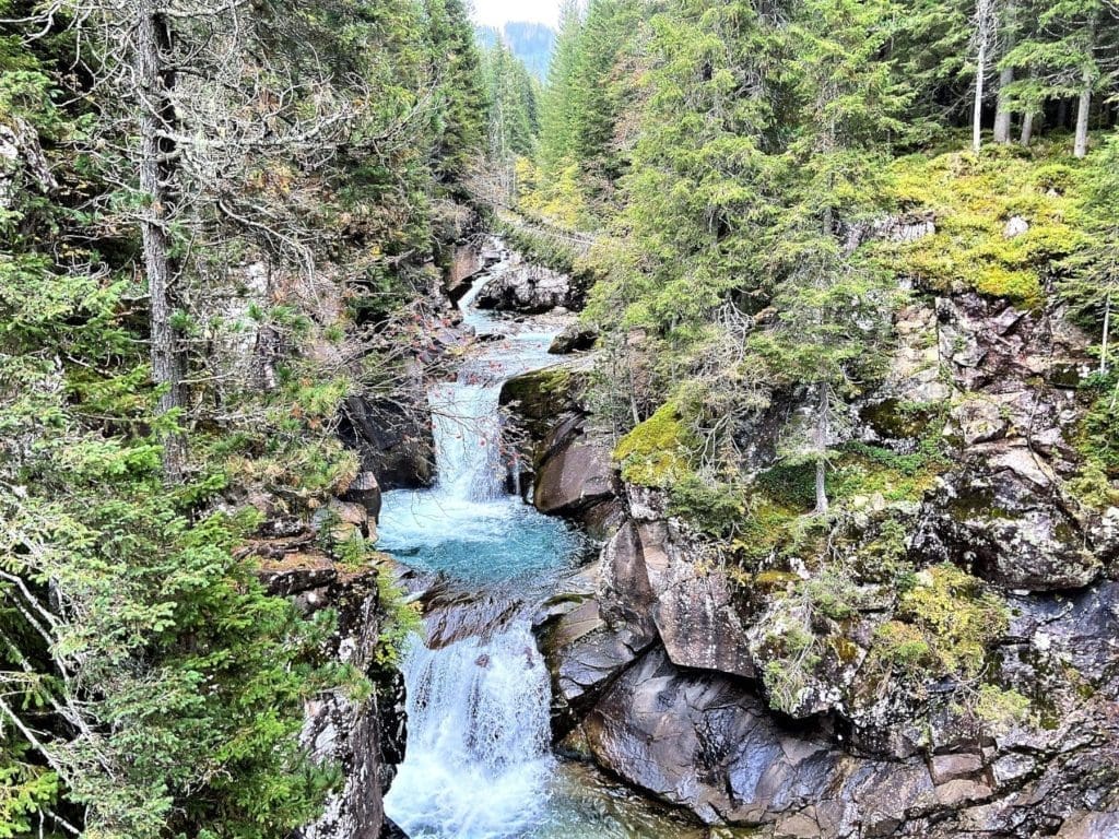 Paneveggio Pale di San Martino Natural Park Trentino