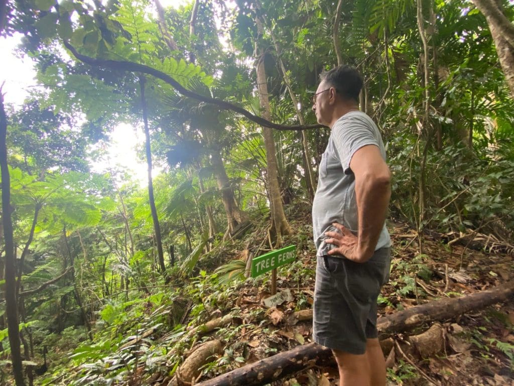 Mahmood contemplating his living forest at Coco Hill Barbados