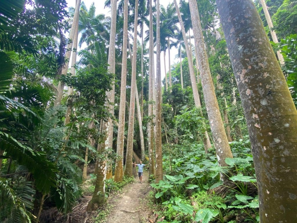 Coco Hill Barbados Tourism