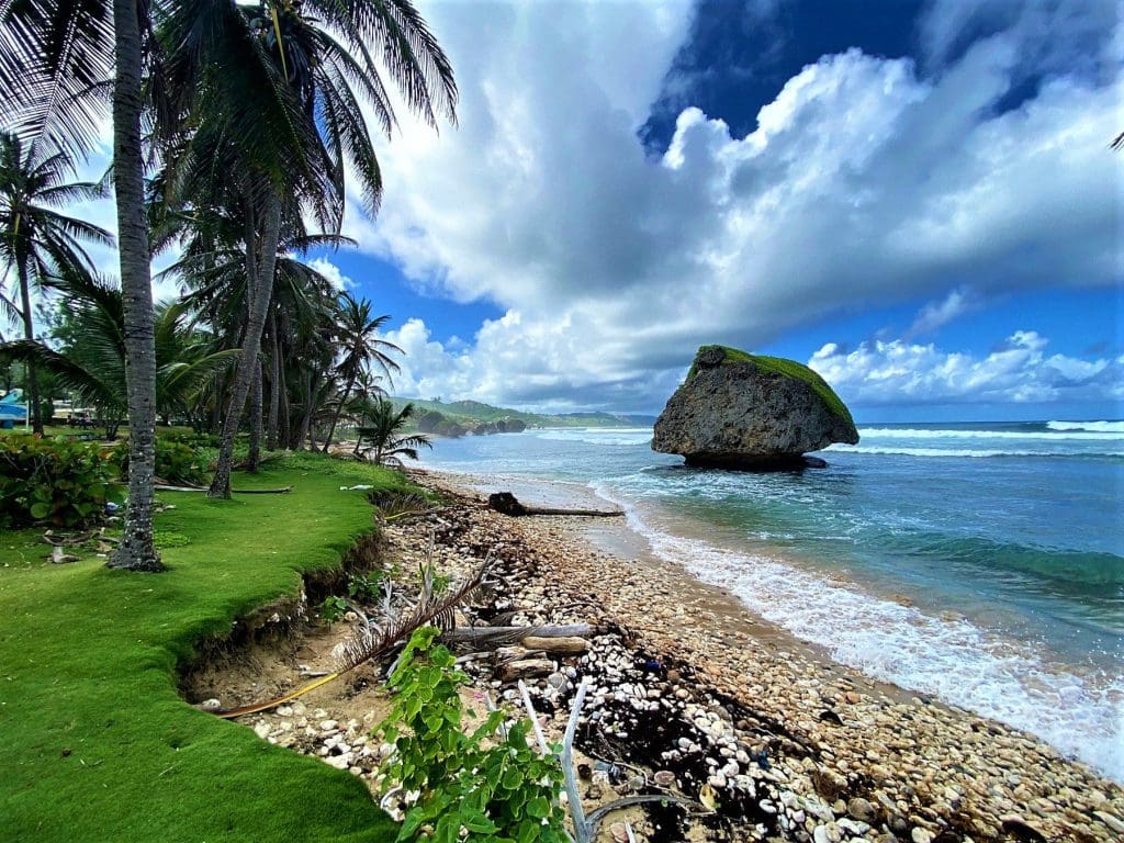 Things to do in Barbados Bathsheba