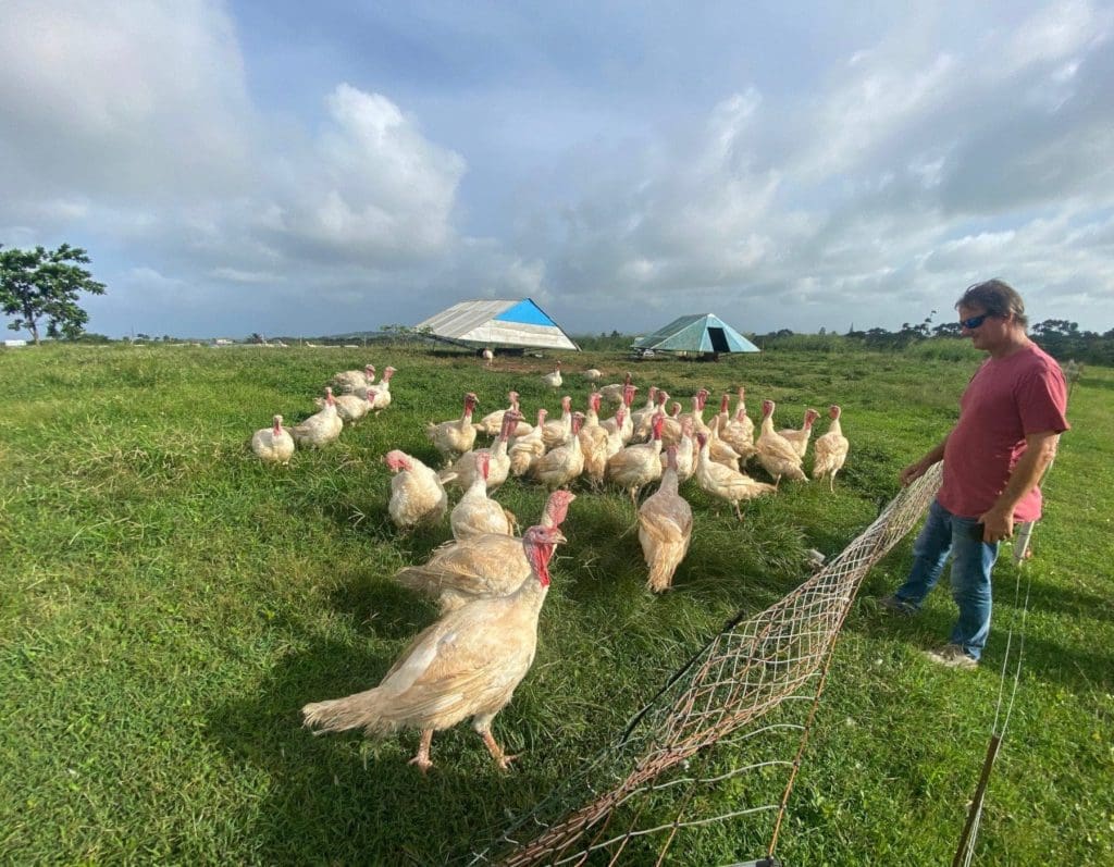 Paul Bourne and his chicken at PEG Farm