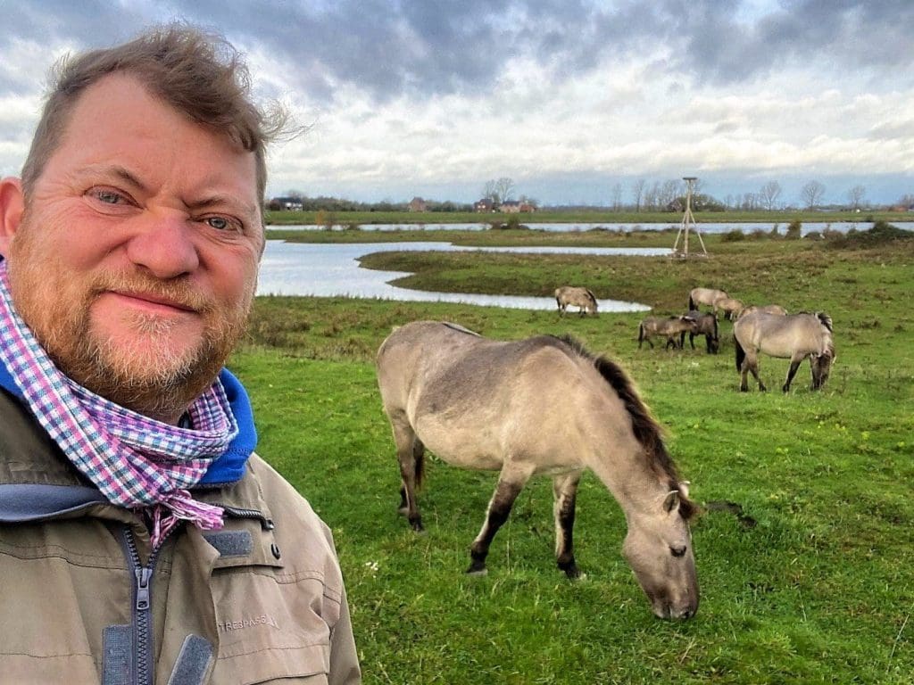 Mark with the wild horses in the Rivierpark Maasvallei, Limburg