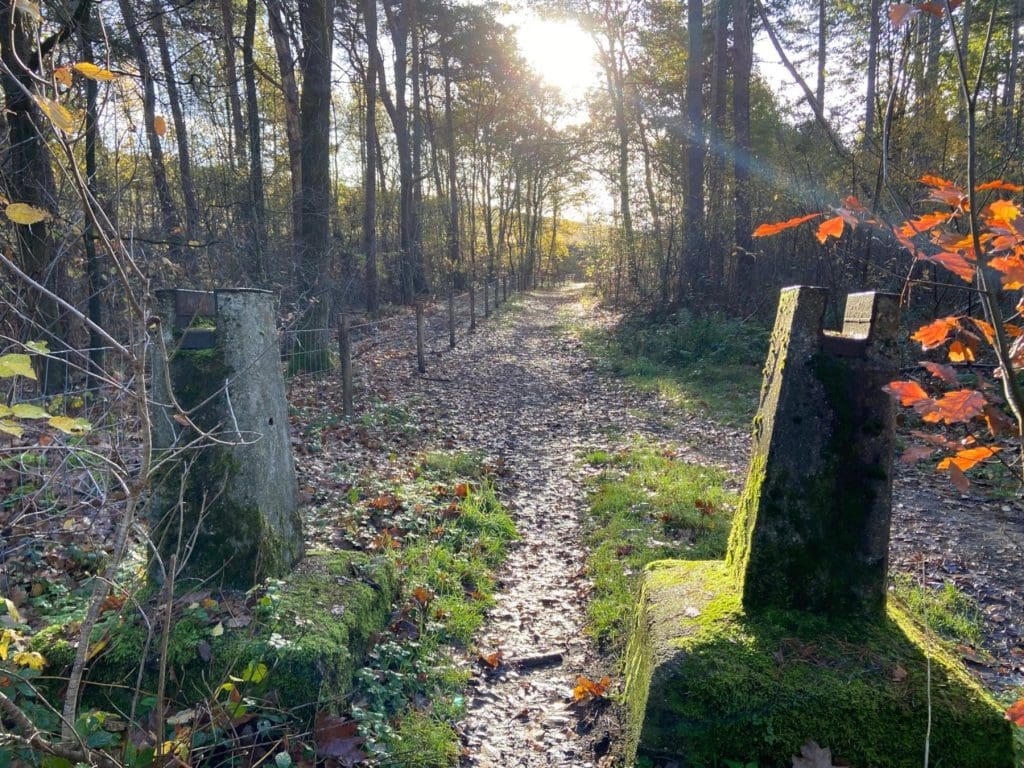 Hiking in the Hoge Kempen National Park Limburg