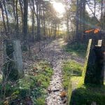 Hiking in the Hoge Kempen National Park Limburg