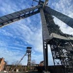 Regeneration in Hoge Kempen National Park Limburg