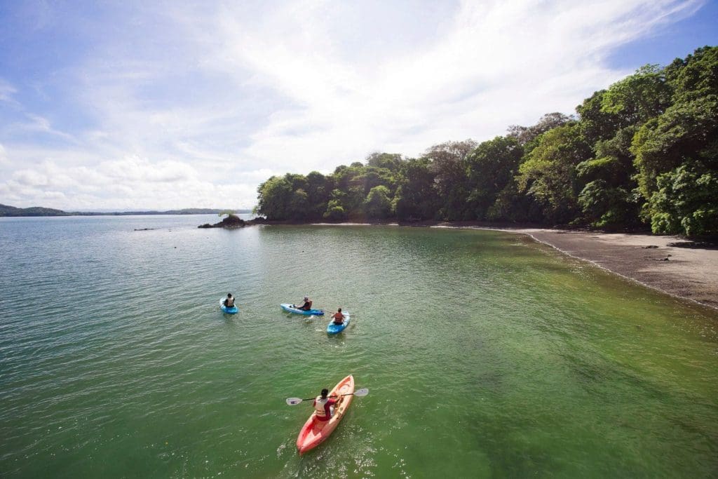 Cayuga kayaking