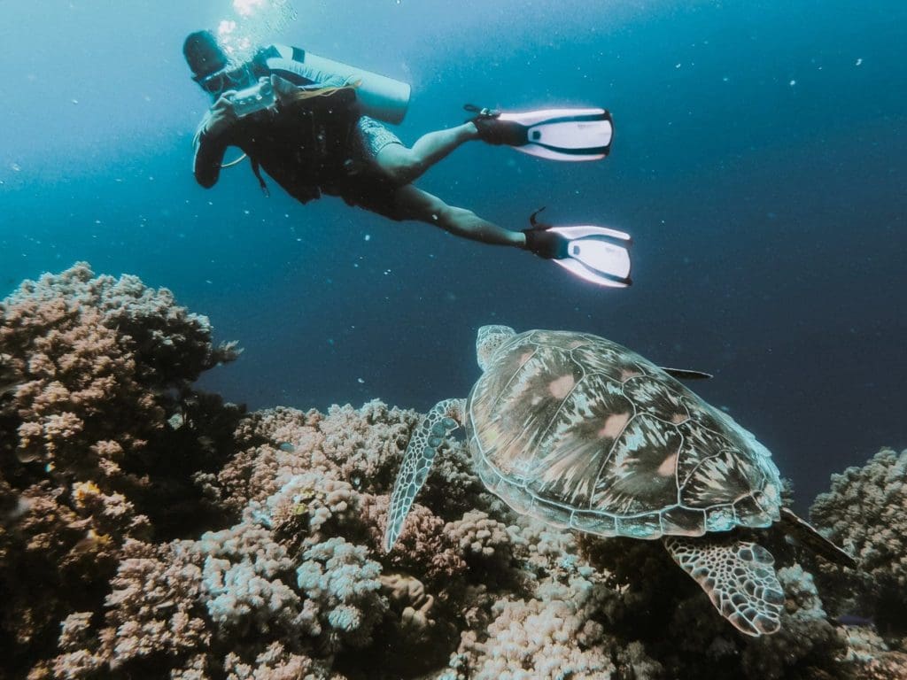 diving in malta