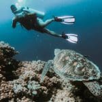 Top Diving Spots Around the Islands of Malta and Gozo