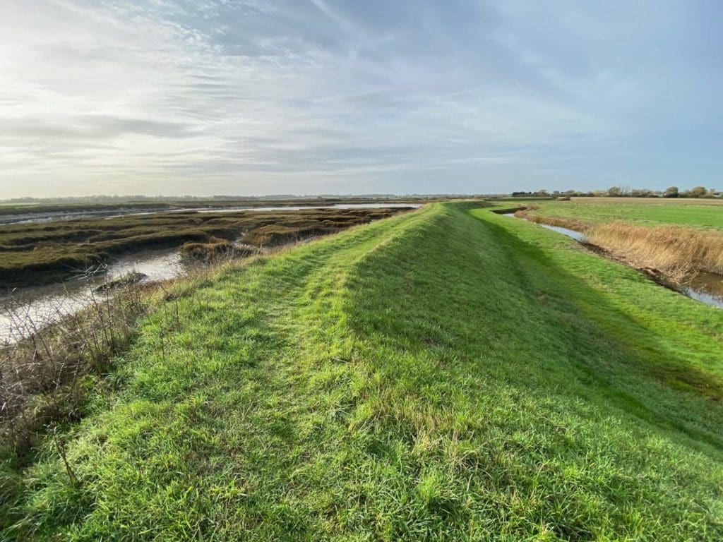 Saltmarsh Coast Trail, Essex