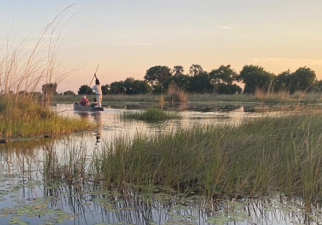 Mokoro canoe on the Okavango Delta