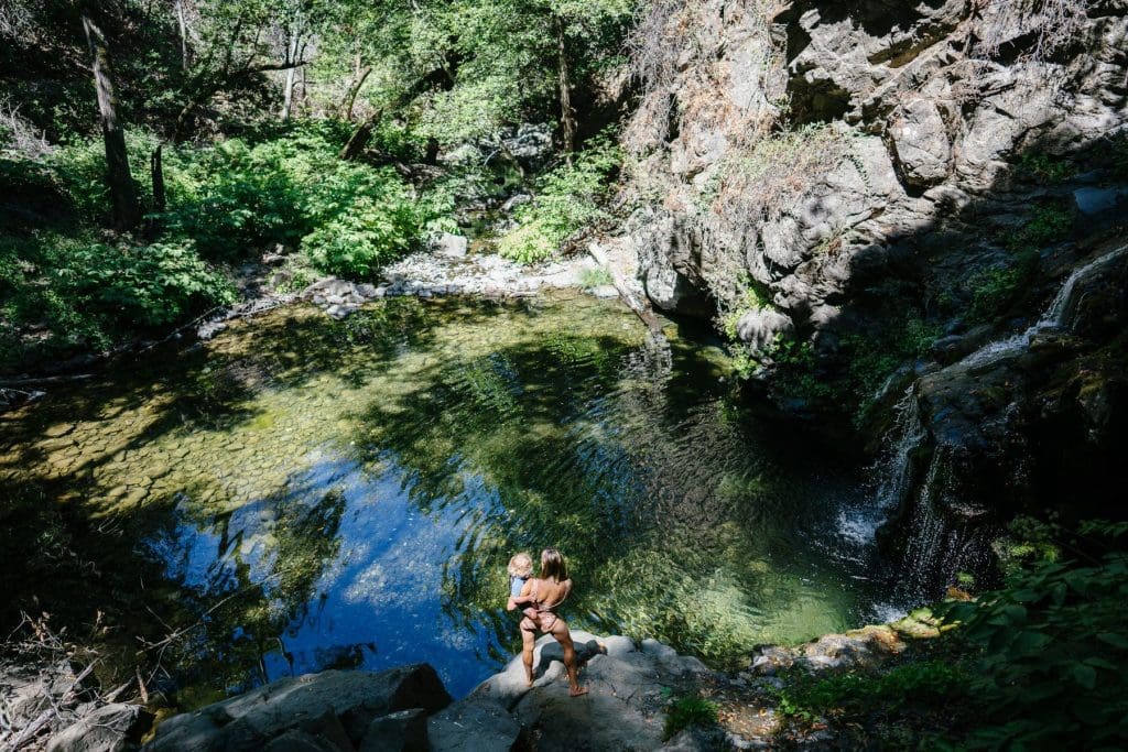 Salmon Creek Falls California