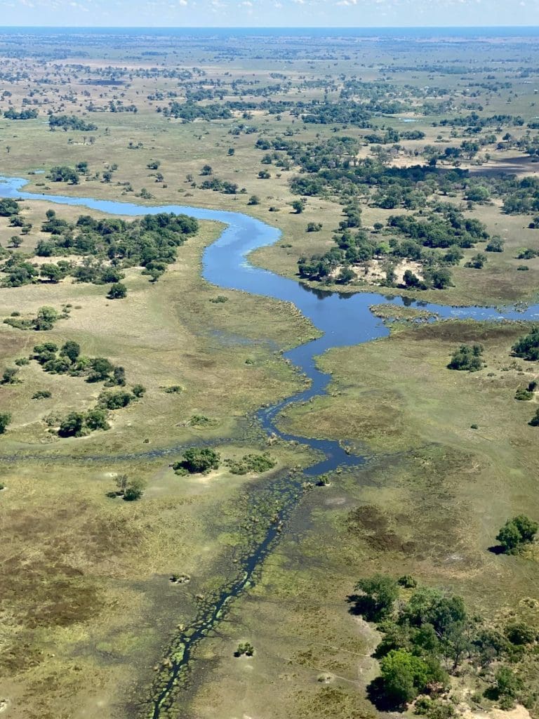 The Okavango Delta seen from the air IMG_8312