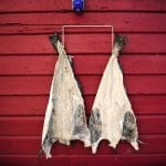Fjord Norway: Home of the World's Best Seafood