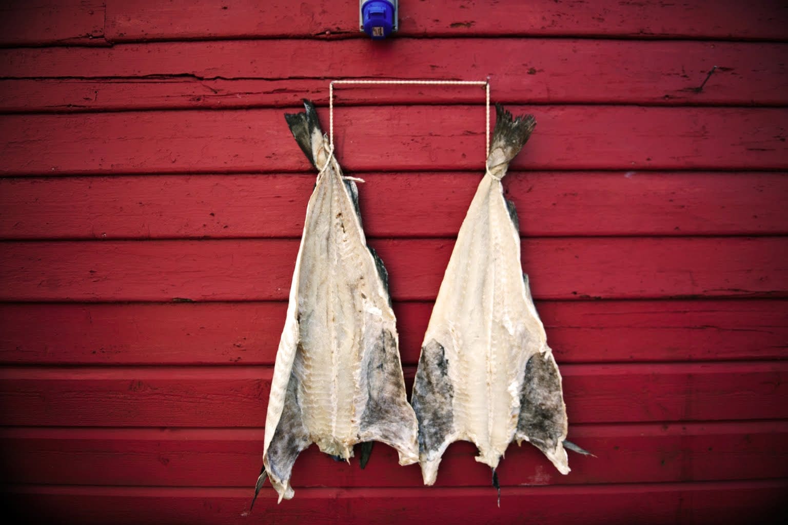 Fjord Norway: Home of the World’s Best Seafood