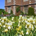 Celebrate Arrival of Spring at Doddington Hall
