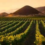 Head to SLO CAL for a Foodie Adventure