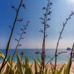 Herm to Become a Carbon-neutral Haven